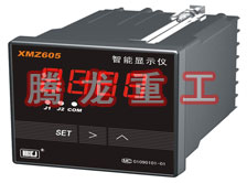 溫度表、數(shù)字顯示儀、濕度表