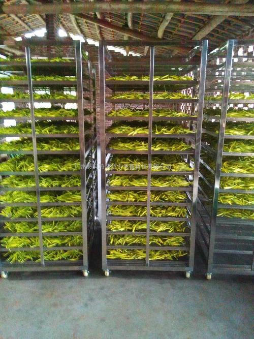 黃花菜烘干機(jī)、黃花菜烘干設(shè)備、黃花菜干燥機(jī)、黃花菜干燥設(shè)備、